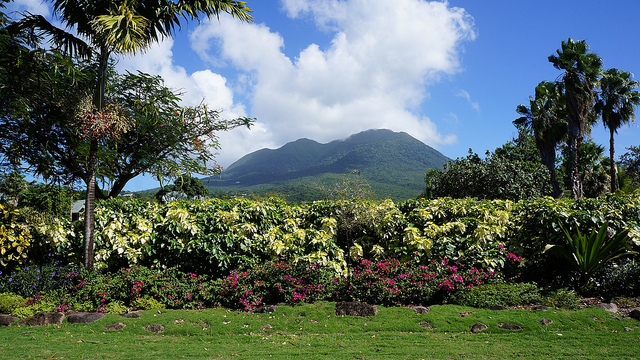Nevis- Credit Travelingpanties